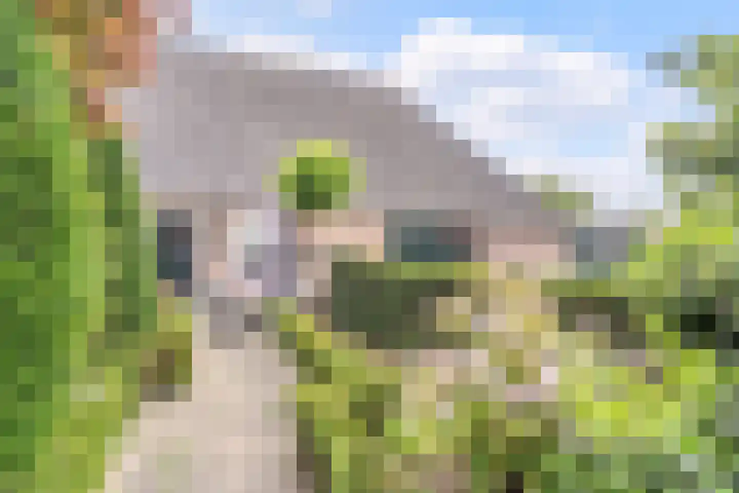 Maasdijk 369 Veen thumbnail 47