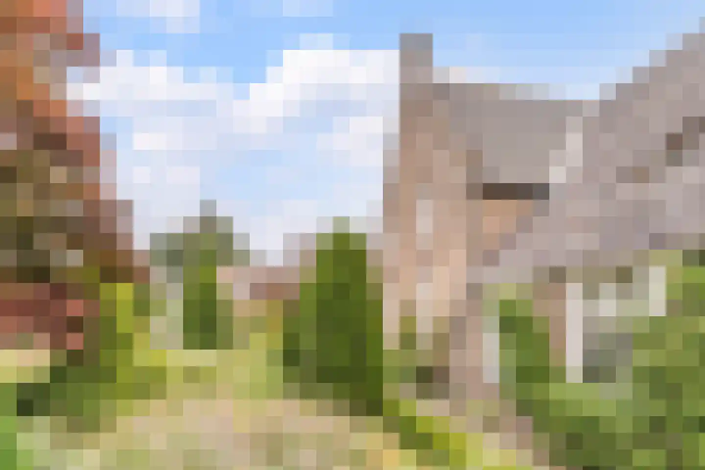 Maasdijk 369 Veen thumbnail 49