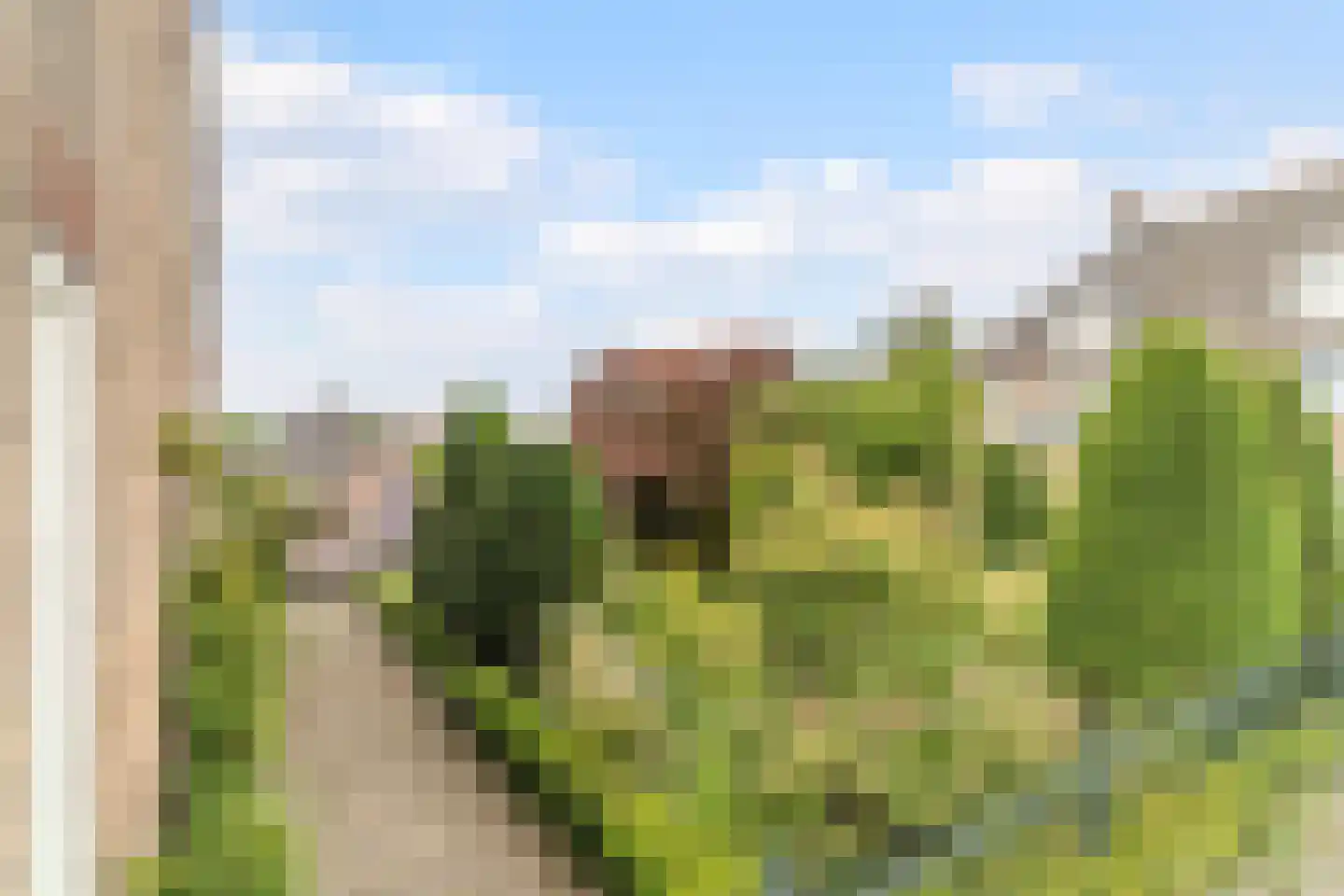 Maasdijk 369 Veen thumbnail 50