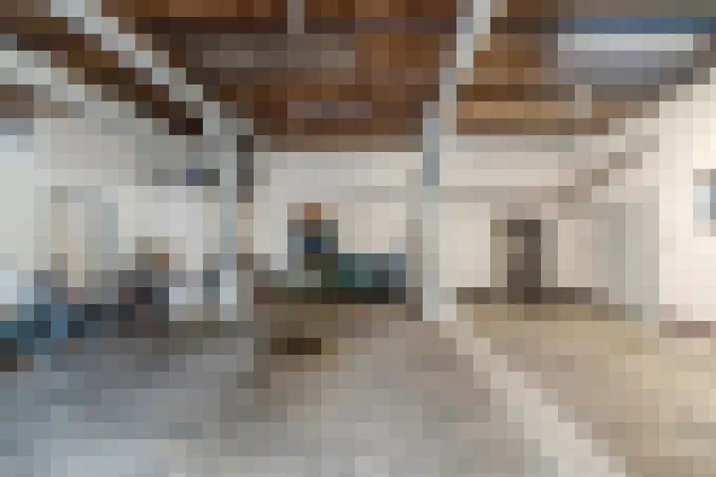 Maasdijk 369 Veen thumbnail 52