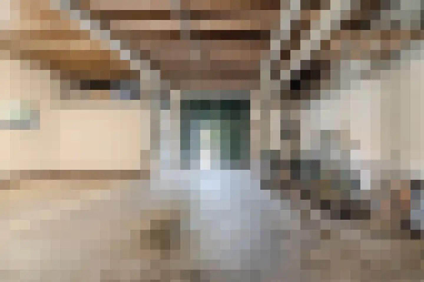 Maasdijk 369 Veen thumbnail 53