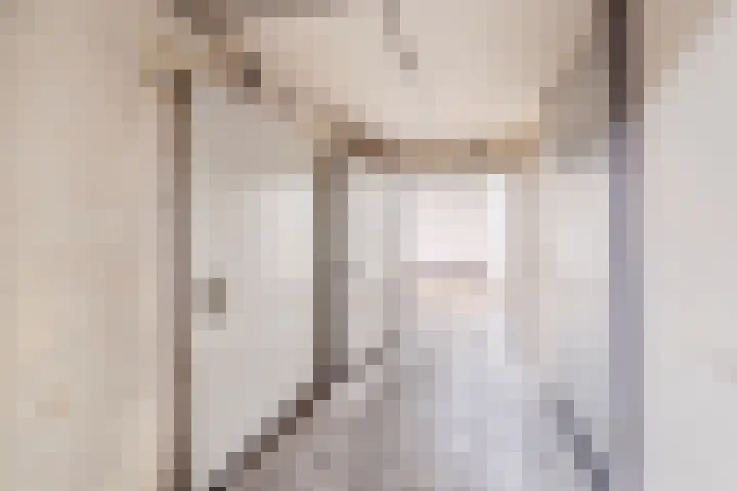Maasdijk 369 Veen thumbnail 54