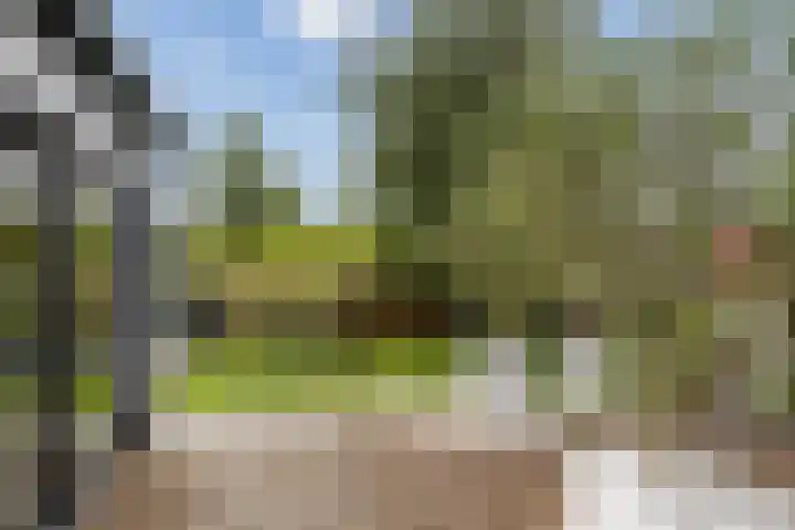 Maasdijk 37 Maasdijk thumbnail 16