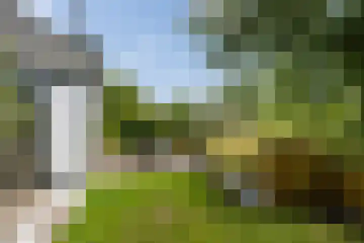 Maasdijk 37 Maasdijk thumbnail 20