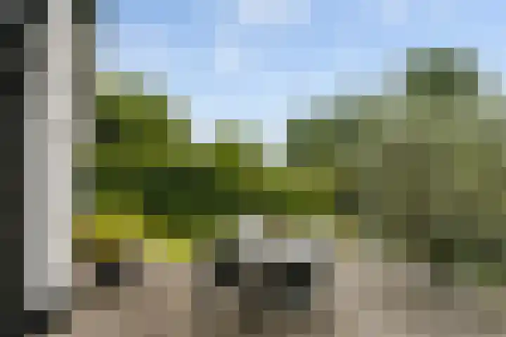 Maasdijk 37 Maasdijk thumbnail 21