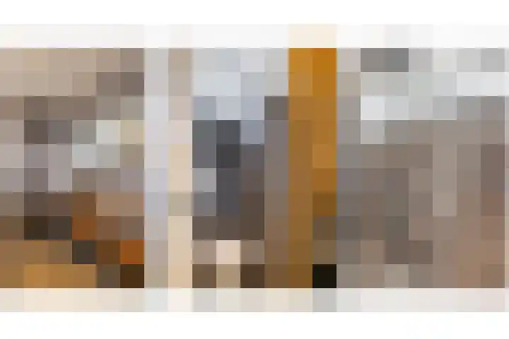 Maasdijk 37 Maasdijk thumbnail 29