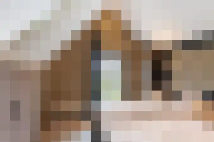 Maasdijk 37 Maasdijk thumbnail 33
