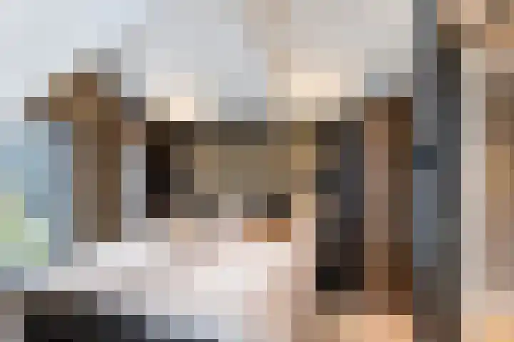 Maasdijk 37 Maasdijk thumbnail 34