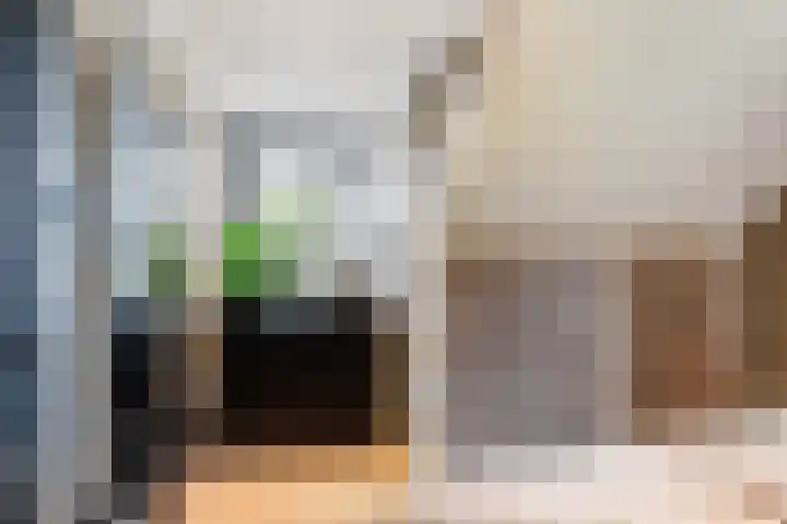 Maasdijk 37 Maasdijk thumbnail 35