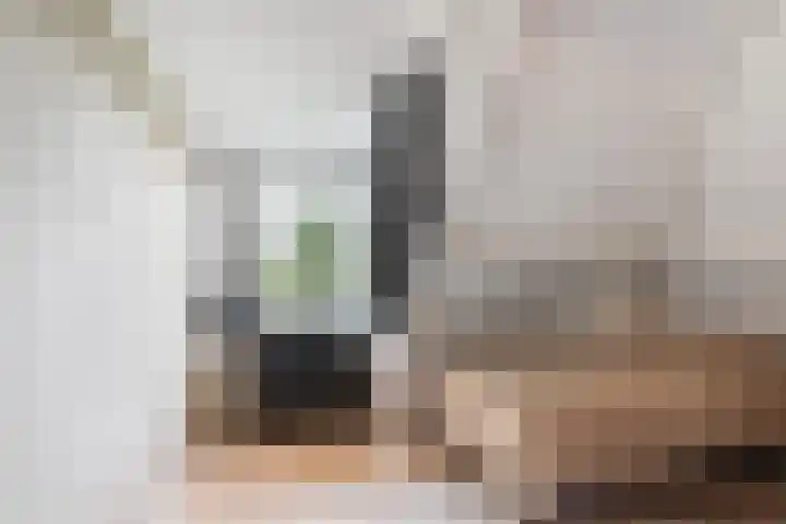 Maasdijk 37 Maasdijk thumbnail 38
