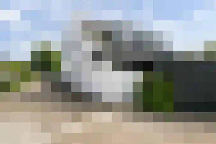 Maasdijk 37 Maasdijk thumbnail 46