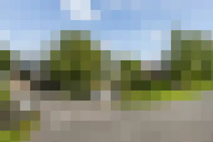 Maasdijk 37 Maasdijk thumbnail 48