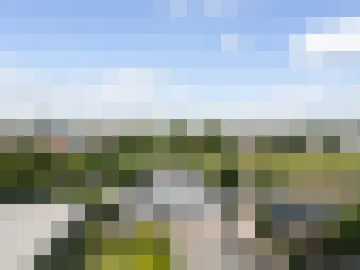 Maasdijk 37 Maasdijk thumbnail 50