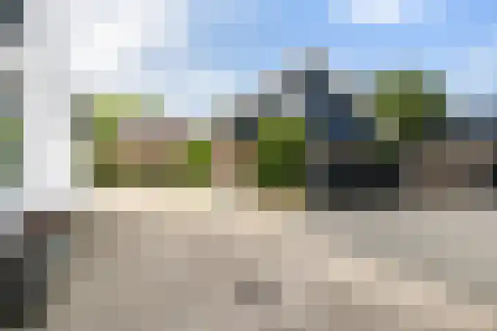 Maasdijk 37 Maasdijk thumbnail 52