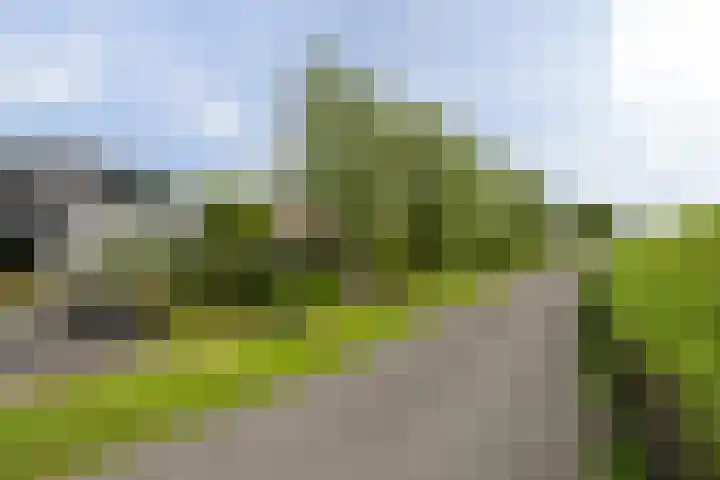 Maasdijk 37 Maasdijk thumbnail 53