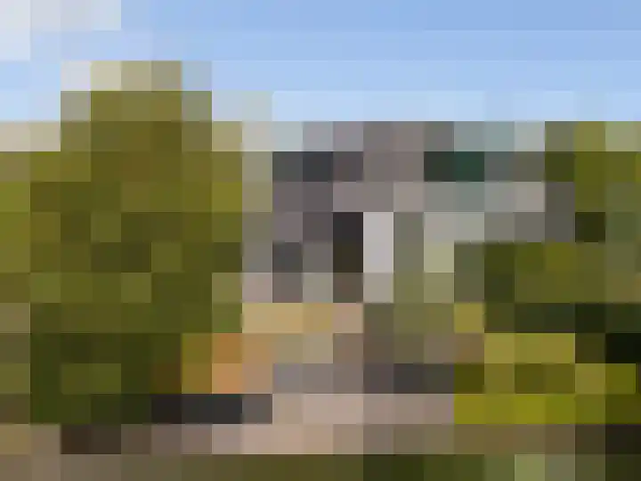 Maasdijk 37 Maasdijk thumbnail 55