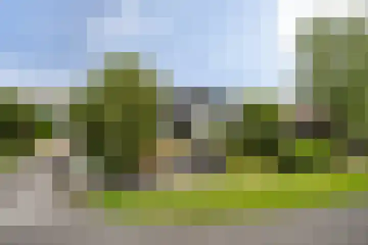 Maasdijk 37 Maasdijk thumbnail 63