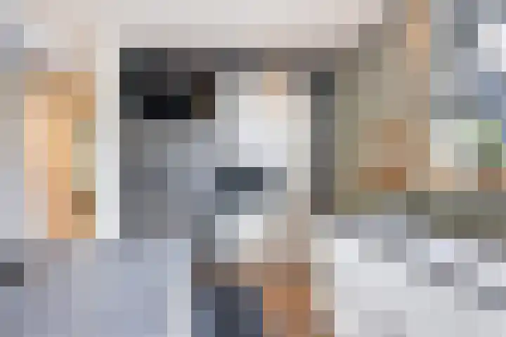 Maasdijk 37 Maasdijk thumbnail 7
