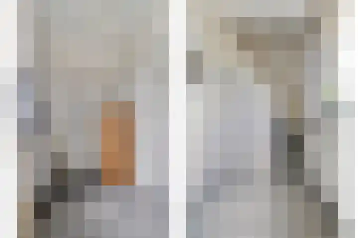 Maasdijk 37 Poederoijen thumbnail 17