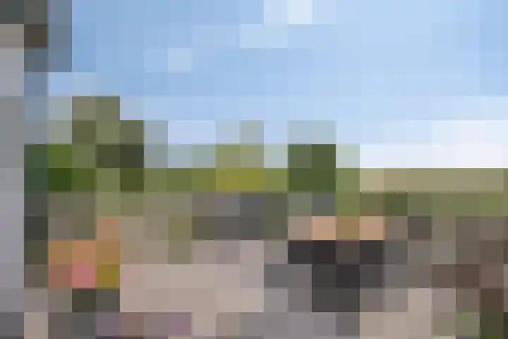 Maasdijk 37 Poederoijen thumbnail 29