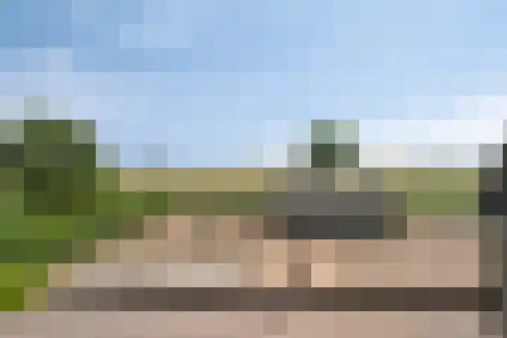 Maasdijk 37 Poederoijen thumbnail 30