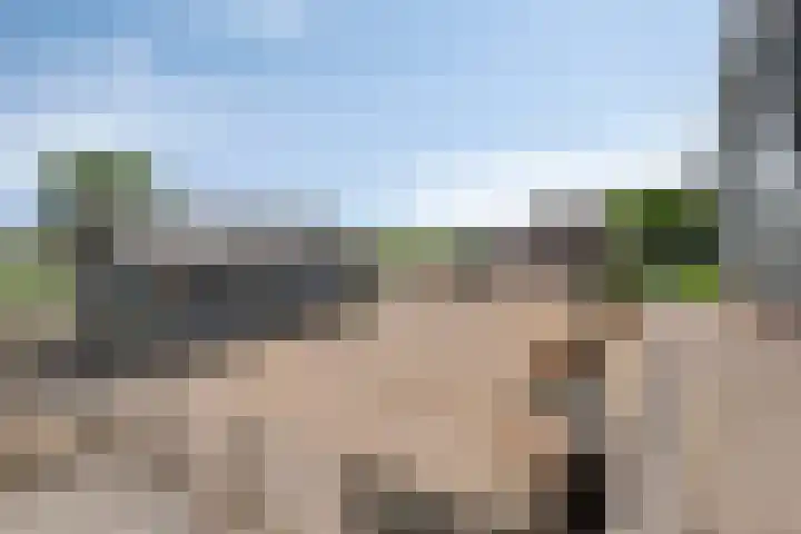 Maasdijk 37 Poederoijen thumbnail 31