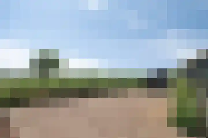 Maasdijk 37 Poederoijen thumbnail 34