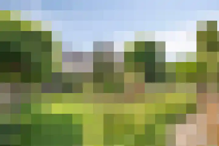 Maasdijk 37 Poederoijen thumbnail 37