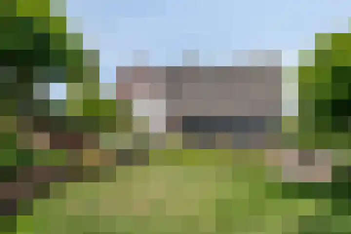 Maasdijk 37 Poederoijen thumbnail 38