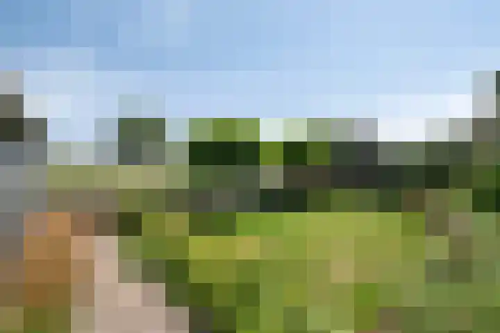 Maasdijk 37 Poederoijen thumbnail 39