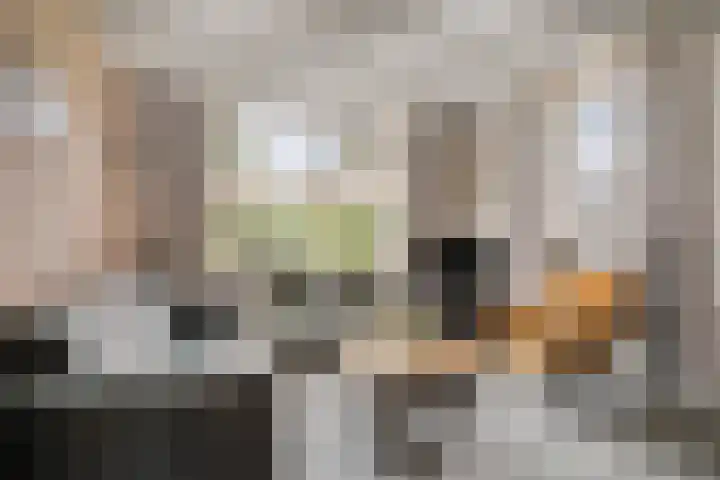 Maasdijk 37 Poederoijen thumbnail 4