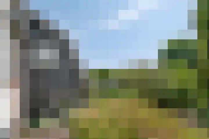 Maasdijk 37 Poederoijen thumbnail 40