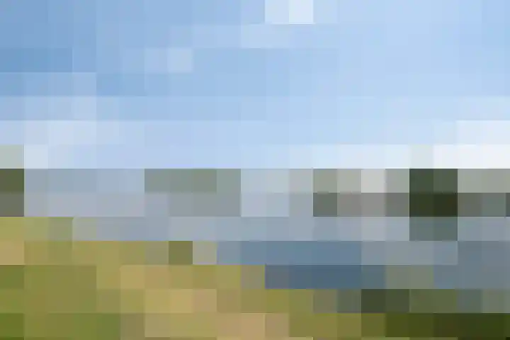 Maasdijk 37 Poederoijen thumbnail 45