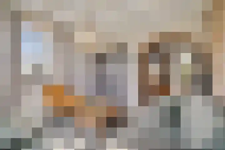 Maasdijk 37 Poederoijen thumbnail 5