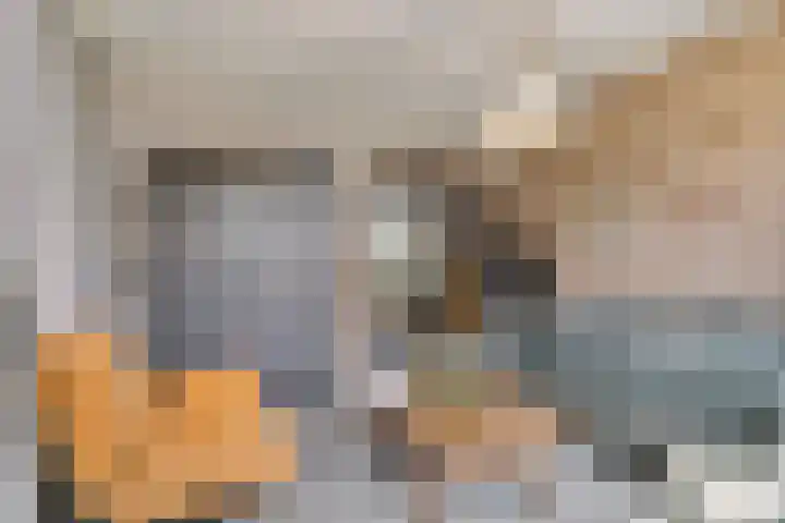 Maasdijk 37 Poederoijen thumbnail 6
