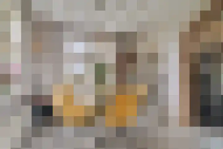Maasdijk 37 Poederoijen thumbnail 8