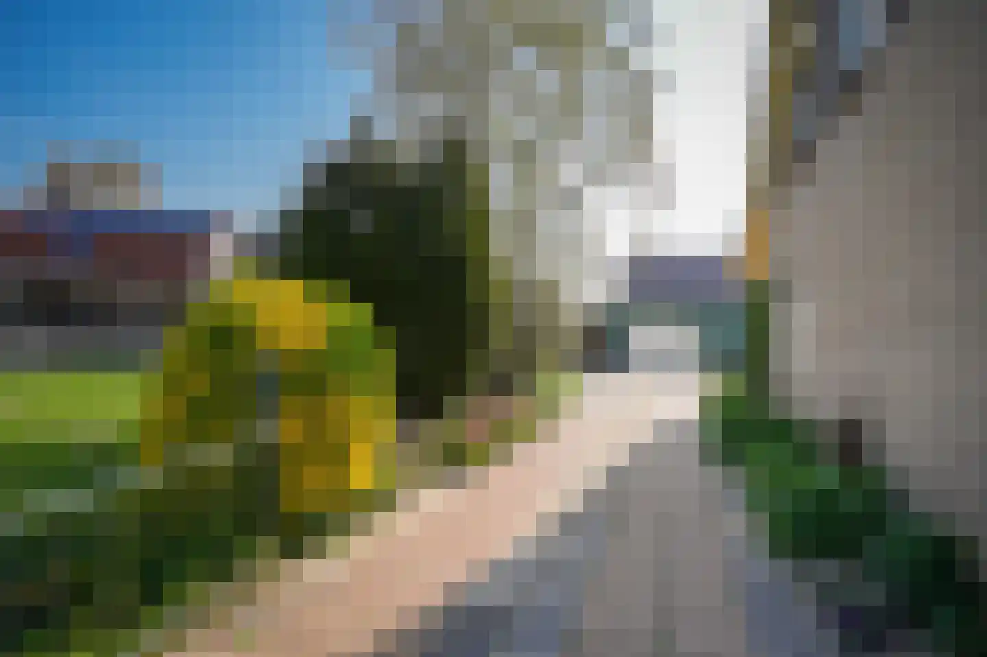 Maasdijk 397 a Veen thumbnail 28