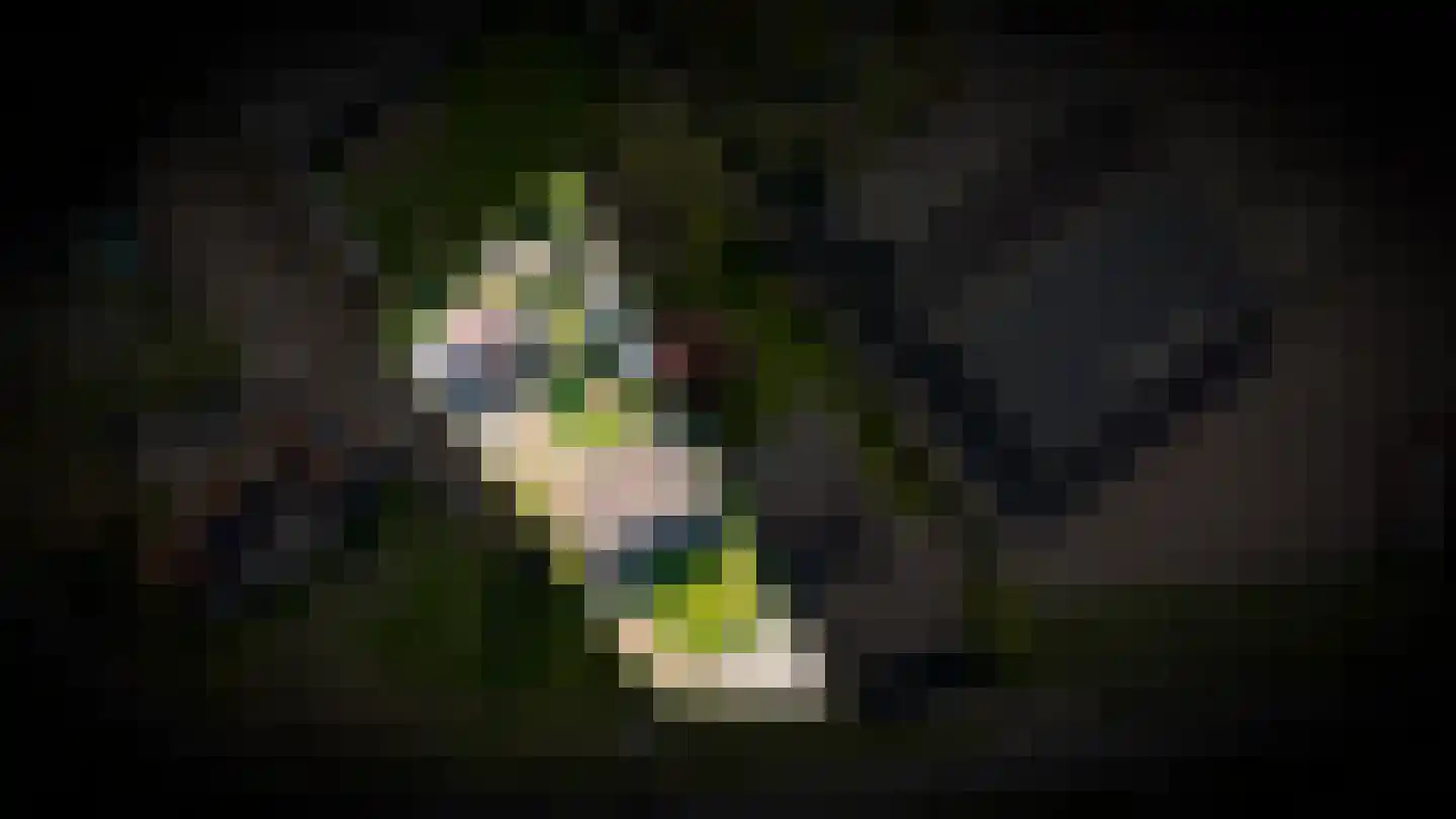 Maasdijk 397 a Veen thumbnail 41