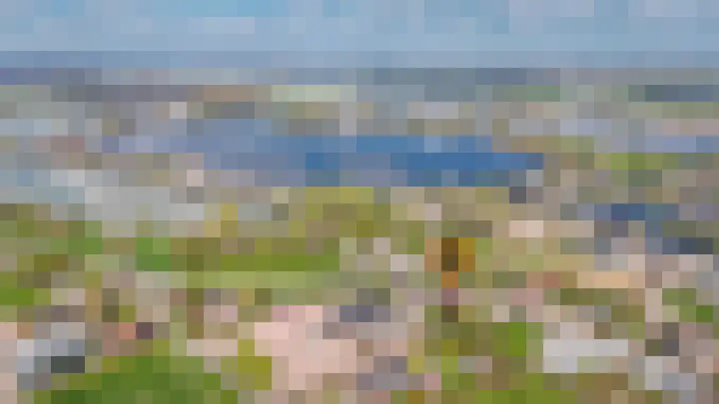 Maasdijk 397 a Veen thumbnail 44