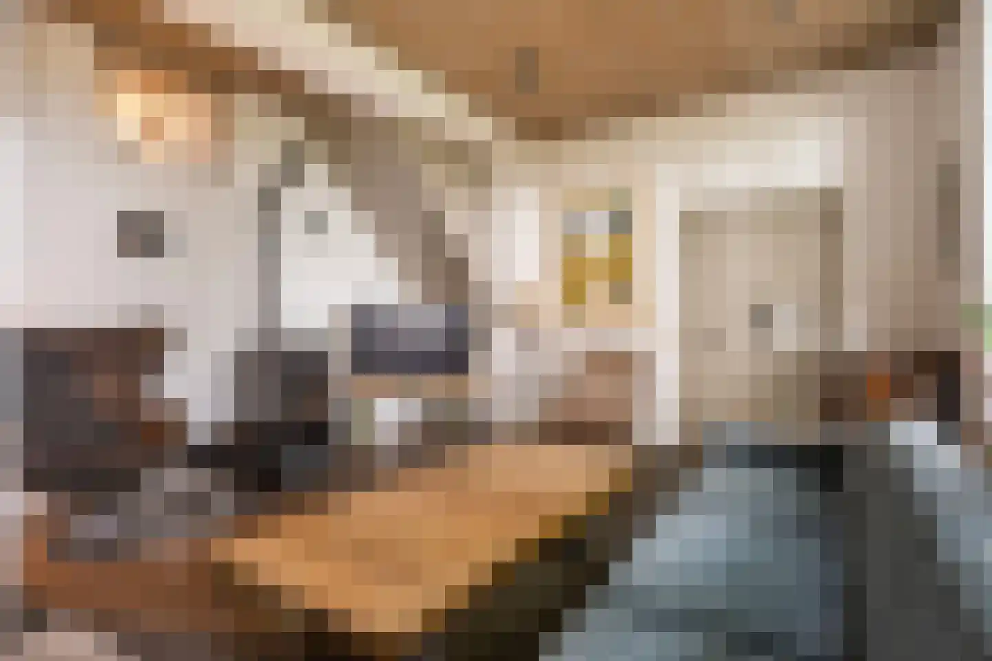 Maasdijk 40 Ravenstein thumbnail 10