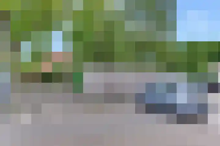 Maasdijk 40 Ravenstein thumbnail 14