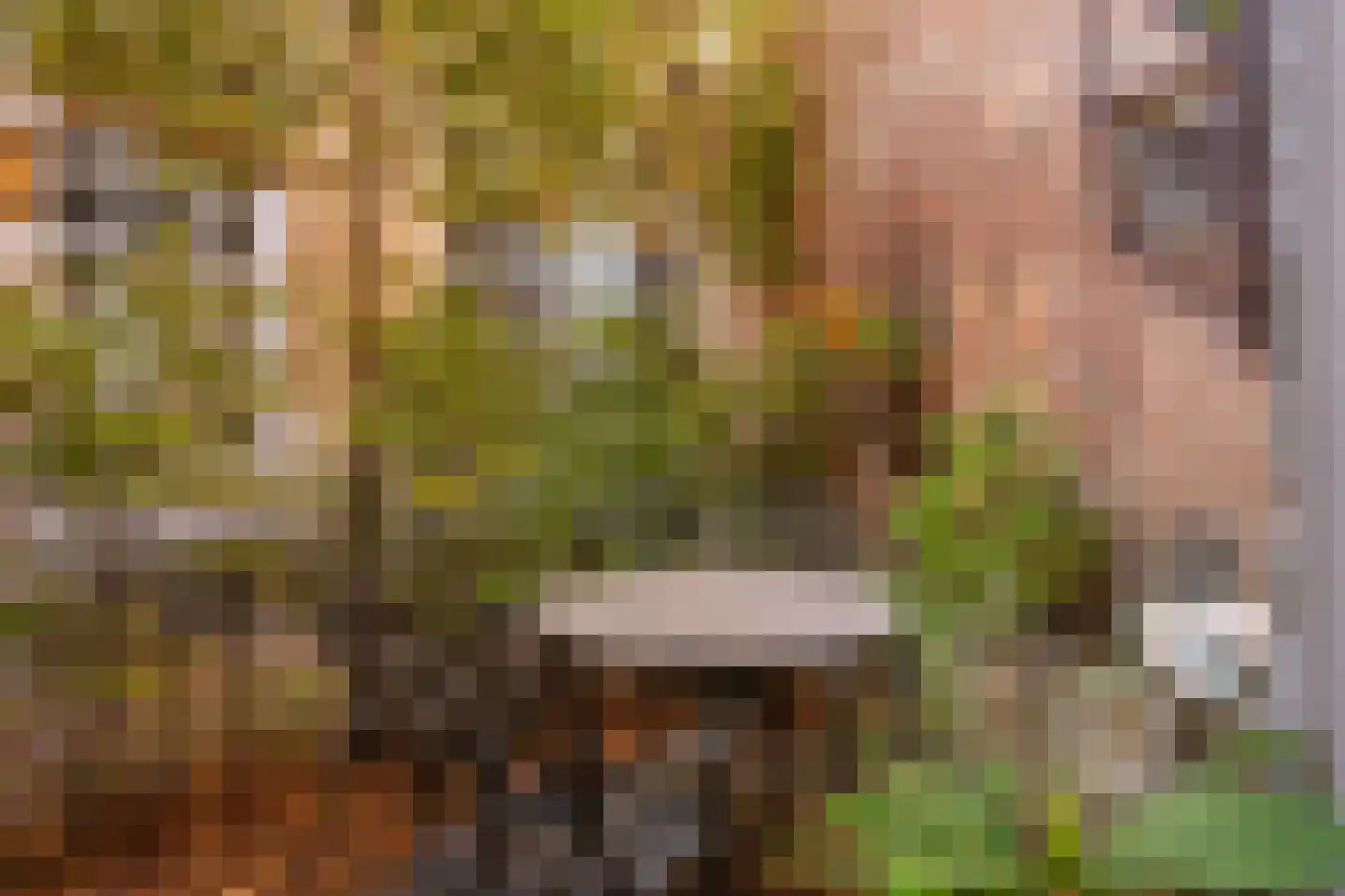 Maasdijk 40 Ravenstein thumbnail 16