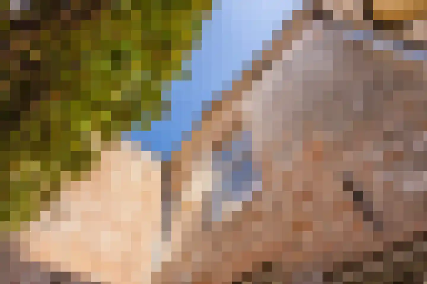 Maasdijk 40 Ravenstein thumbnail 17