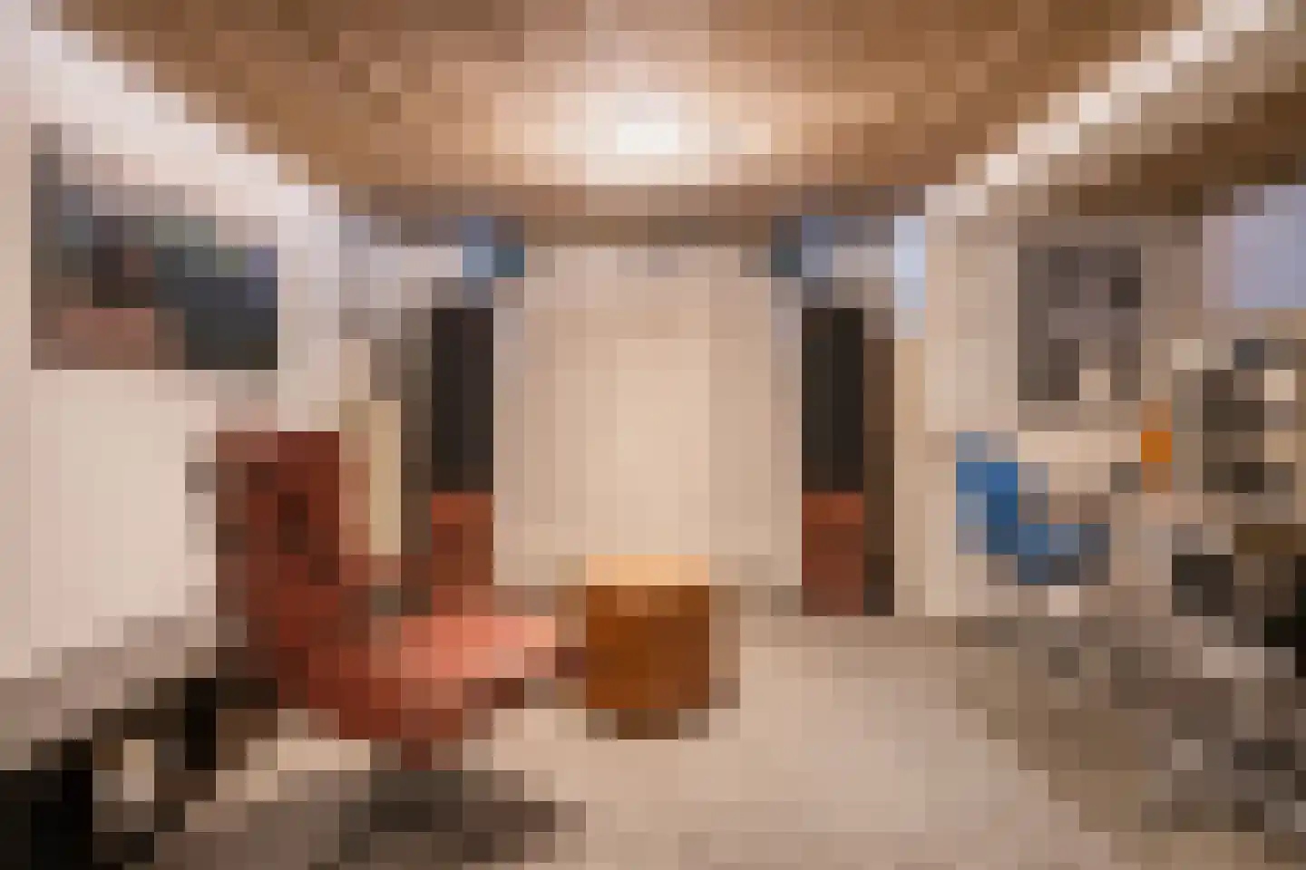 Maasdijk 40 Ravenstein thumbnail 19