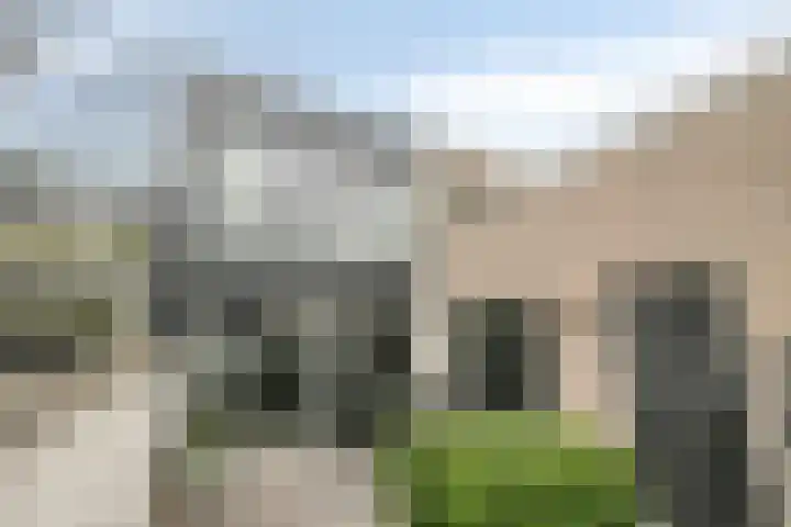 Maasdijk 40 Ravenstein thumbnail 31
