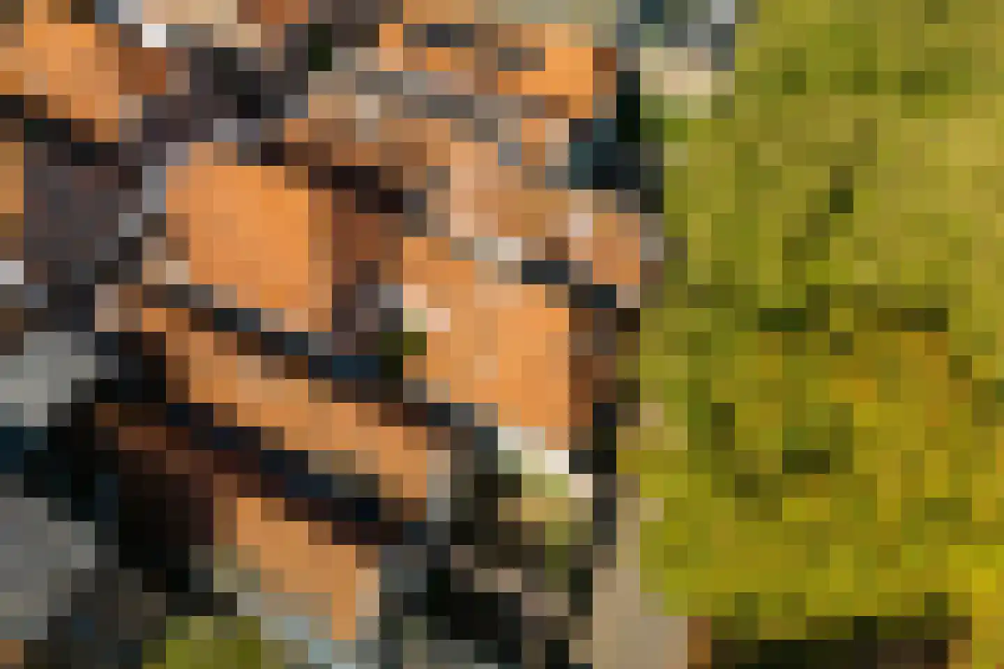 Maasdijk 40 Ravenstein thumbnail 33