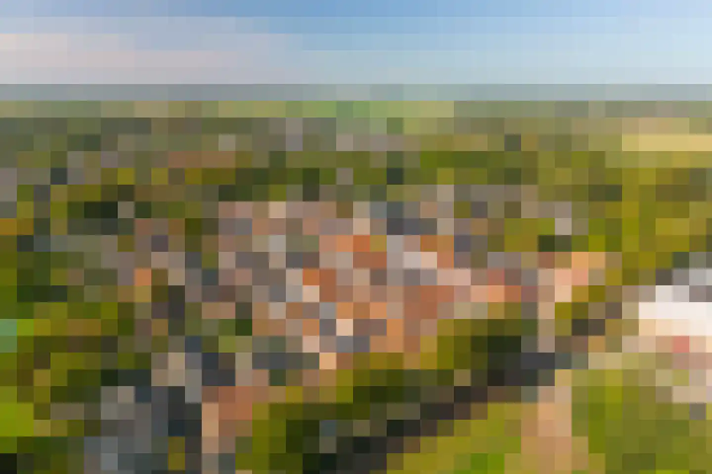 Maasdijk 40 Ravenstein thumbnail 33