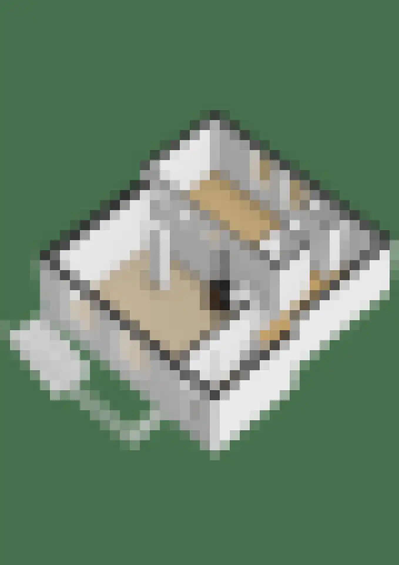 Maasdijk 40 Ravenstein thumbnail 37