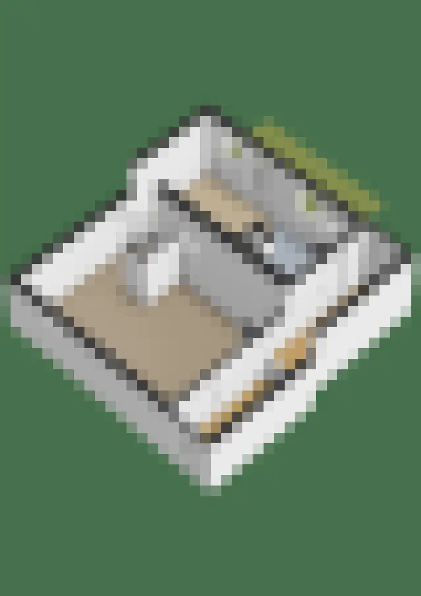 Maasdijk 40 Ravenstein thumbnail 39