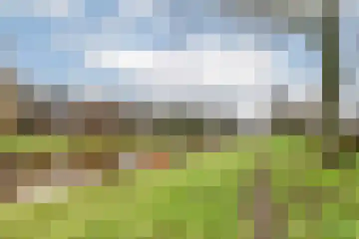 Maasdijk 40 Ravenstein thumbnail 4